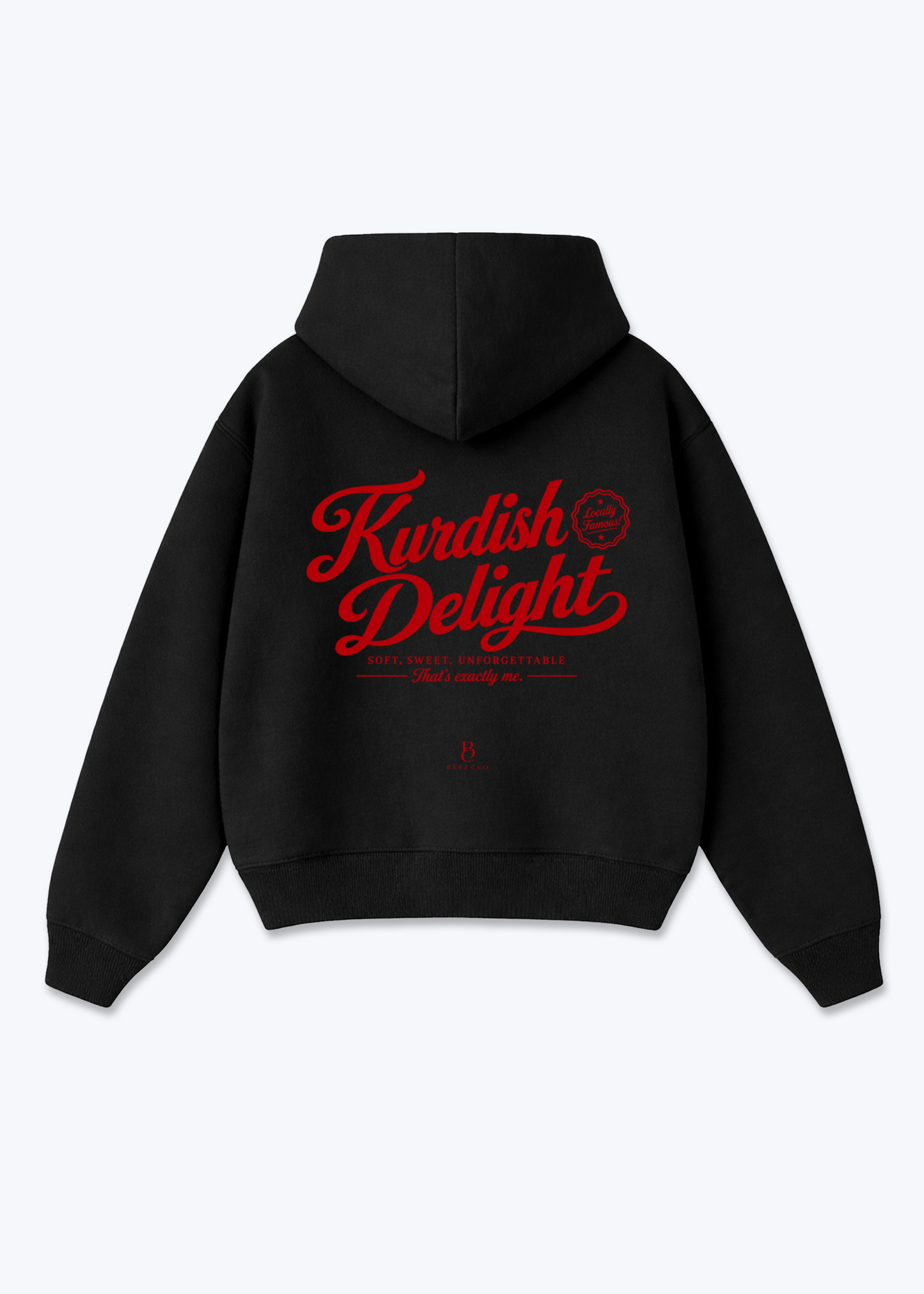 Kurdish delight Oversized Hoodie - Black Back (Designed)